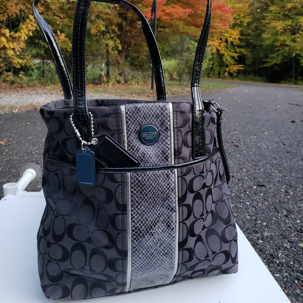 Coach SnakeSkin and Signature Purse